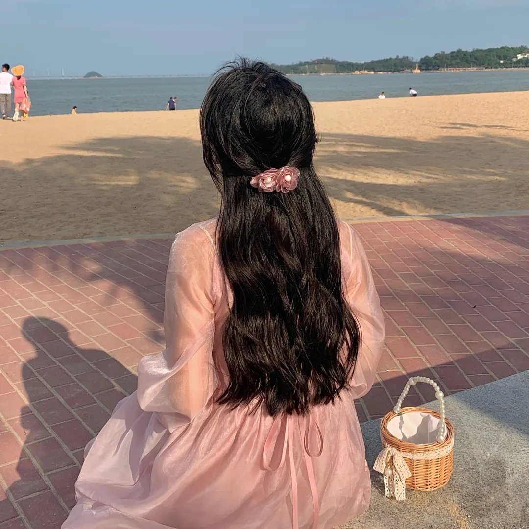 漂流海龟岛